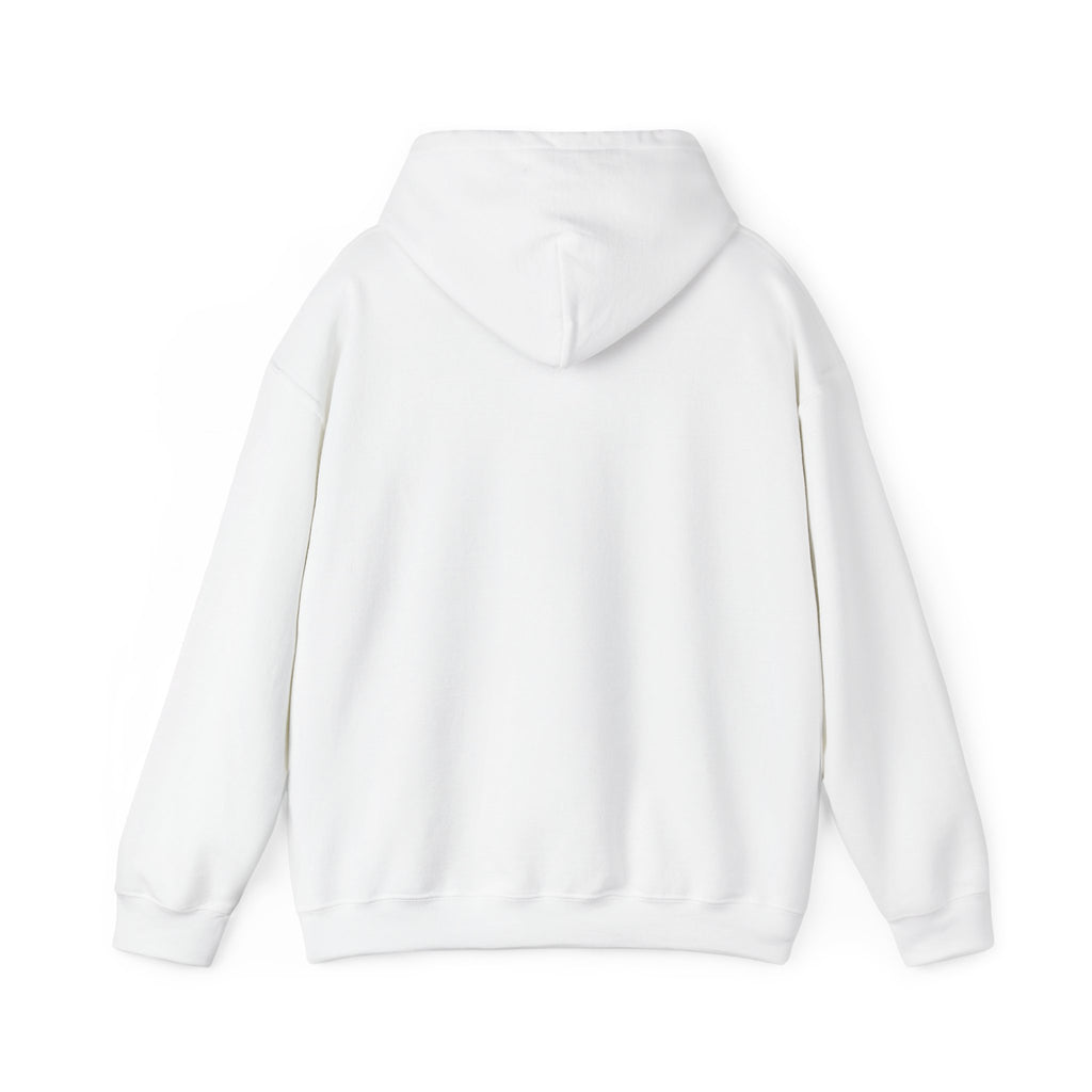 Armor Of God Hooded Sweatshirt