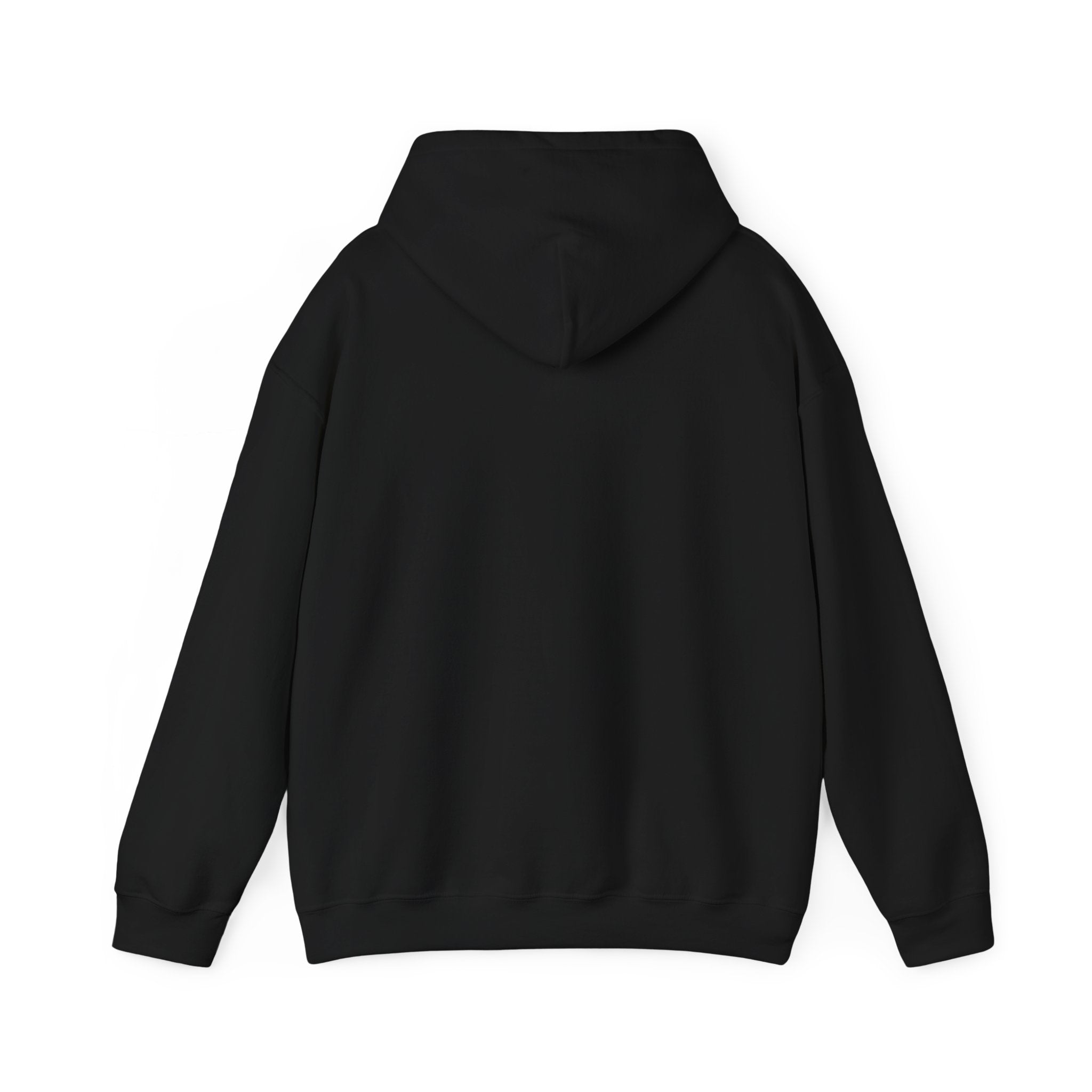 Ain’t No Church Like The One I Got Hooded Sweatshirt