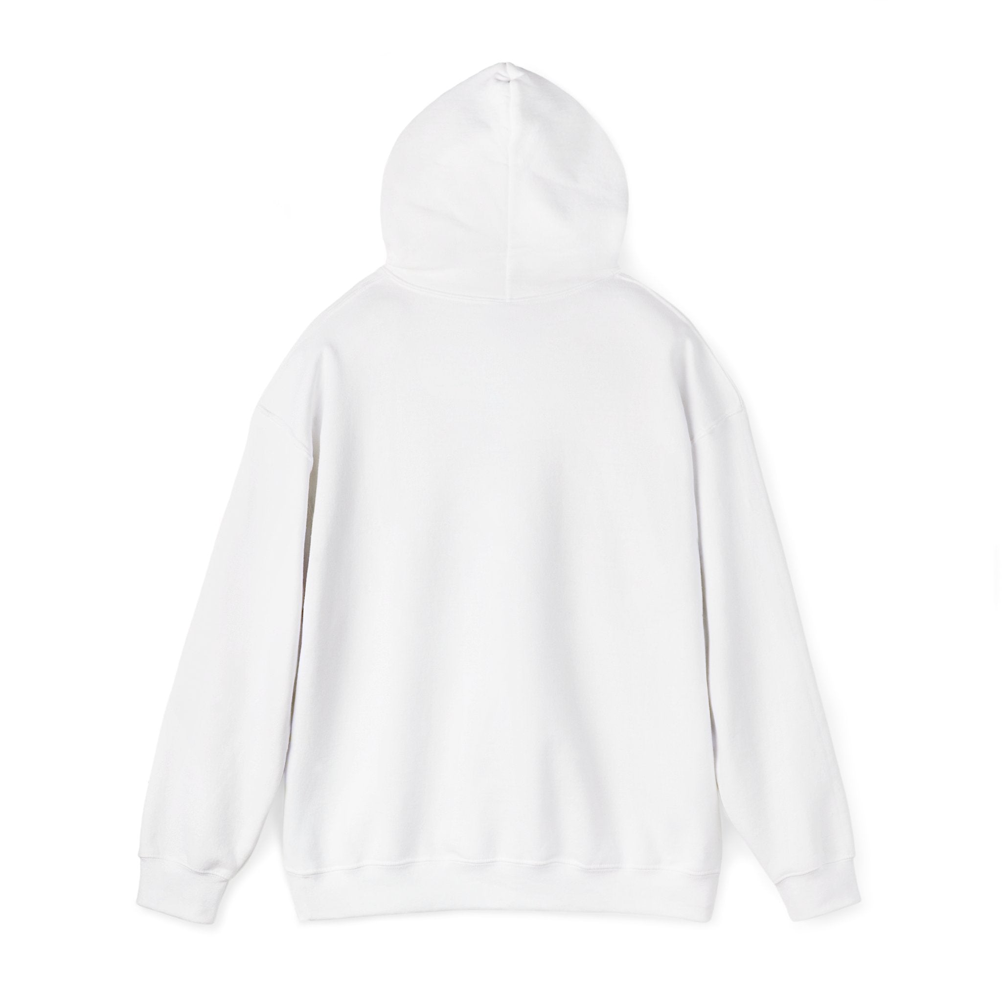 Ain’t No Church Like The One I Got Hooded Sweatshirt