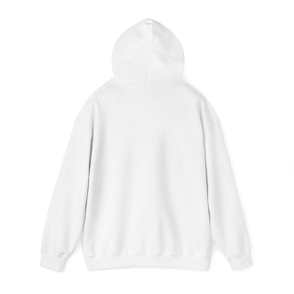 Armor Of God Hooded Sweatshirt